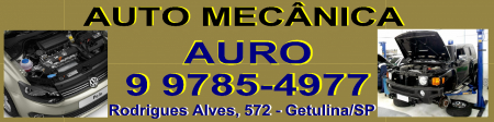 AUTO MECÂNICA DO AURO